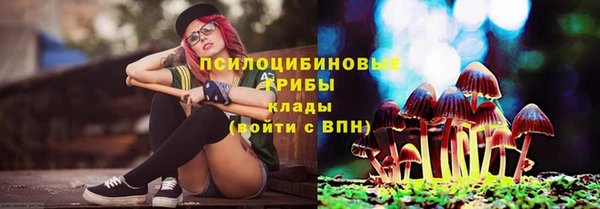 ECSTASY Елизово