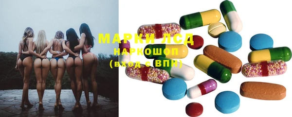 ECSTASY Елизово