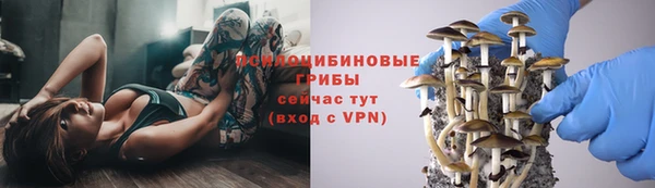 spice Елабуга