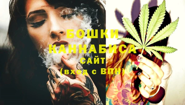 ECSTASY Елизово