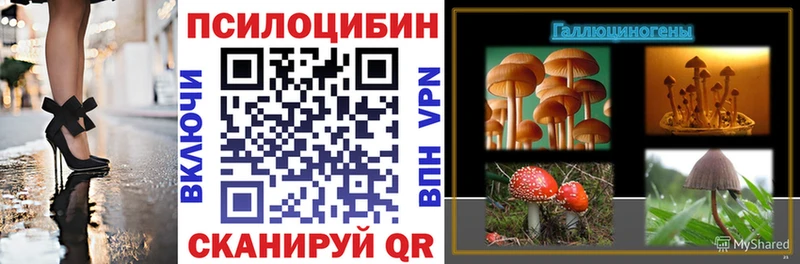 Псилоцибиновые грибы Cubensis  Купить  Кандалакша 